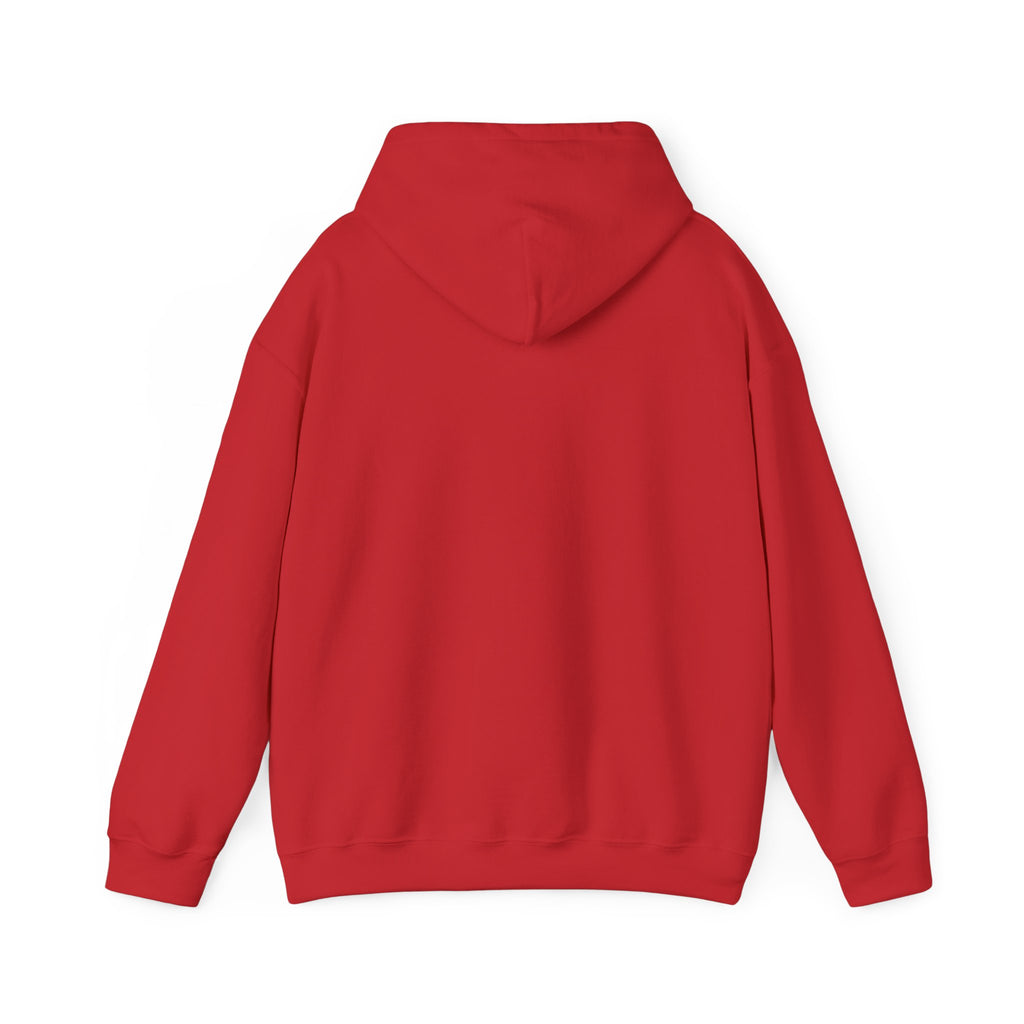 Cute Kawaii Christmas Animals Hoodie