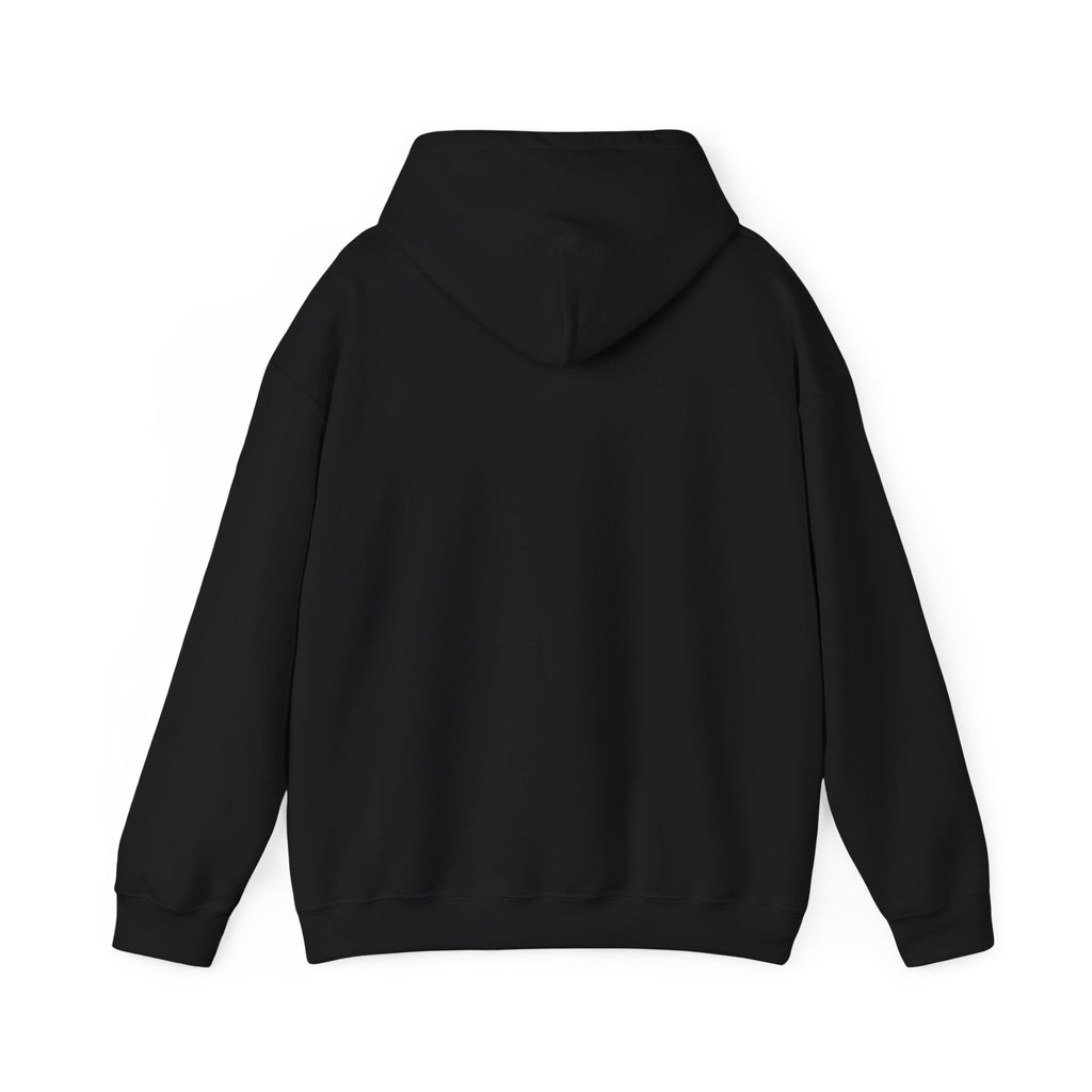 Cute Kawaii Christmas Cat Hoodie